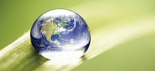 Litigation - Environmental
