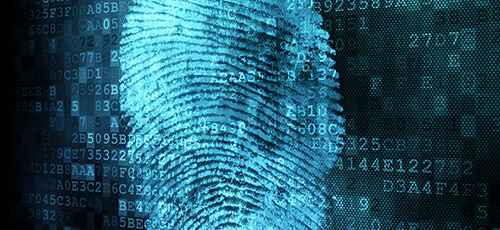 Litigation - Government Enforcement & White Collar Defense