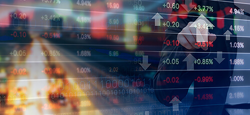 Securities Litigation
