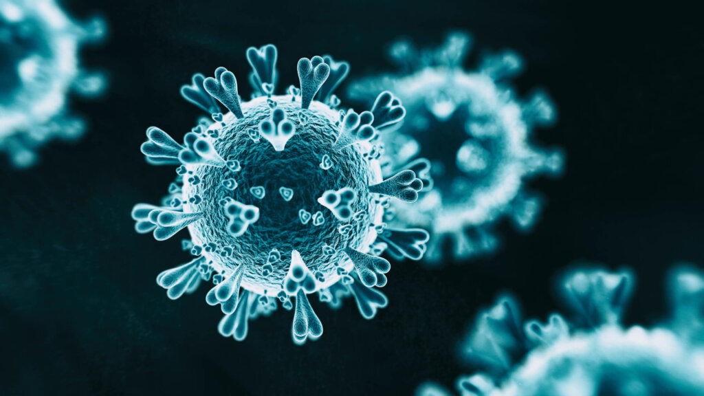 Coronavirus (COVID-19): Impact & Response